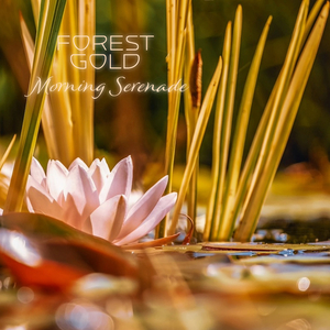 家庭乱仑色情黄色片
