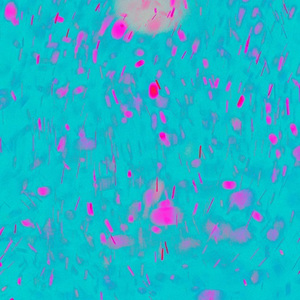 家庭乱仑色情黄色片
